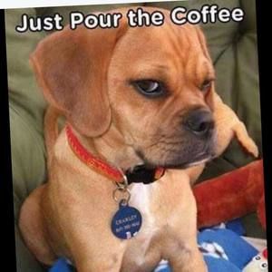 Meet your Posher, Marianne